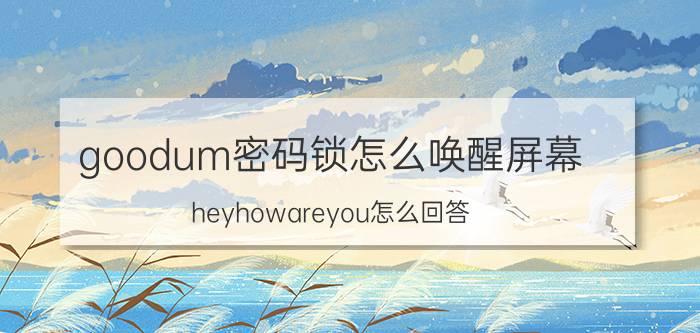 goodum密码锁怎么唤醒屏幕 heyhowareyou怎么回答？